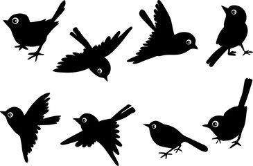 animals