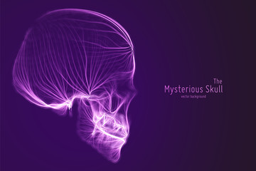 Vector skull constructed with violet lines. Mysterious source of life background. Internet security concept illustration. Virus or malware abstract visualization. Hacking big data image.