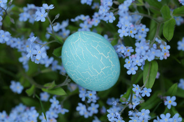 Easter concept.blue easter egg in forget-me-not flowers. gentle easter background in blue tones