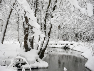 Winter forest river under snow with trees