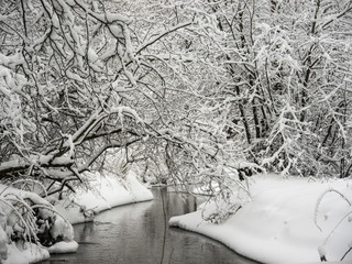 Winter forest river under snow with branches of trees