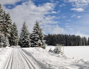 Langlauf am Rennsteig