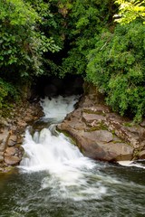 Kleiner Wasserfall im Akaka Falls State Park auf Big Island, Hawaii, USA.