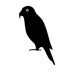 Lory parrot silhouette icon in flat style