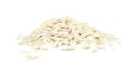 White Rice. Watercolor hand drawn illustration, isolated on white background
