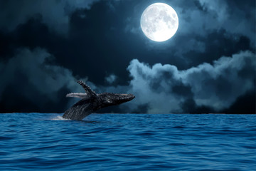 humpback whale breaching at night on full moon background