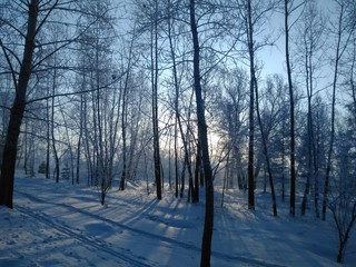 Зимнее утро на острове Татышева. Красноярск.