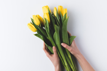beautiful yellow tulips in human hands isolated on grey