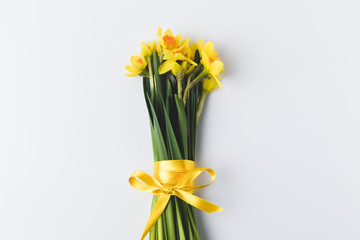beautiful blooming daffodils flowers with yellow ribbon isolated on grey