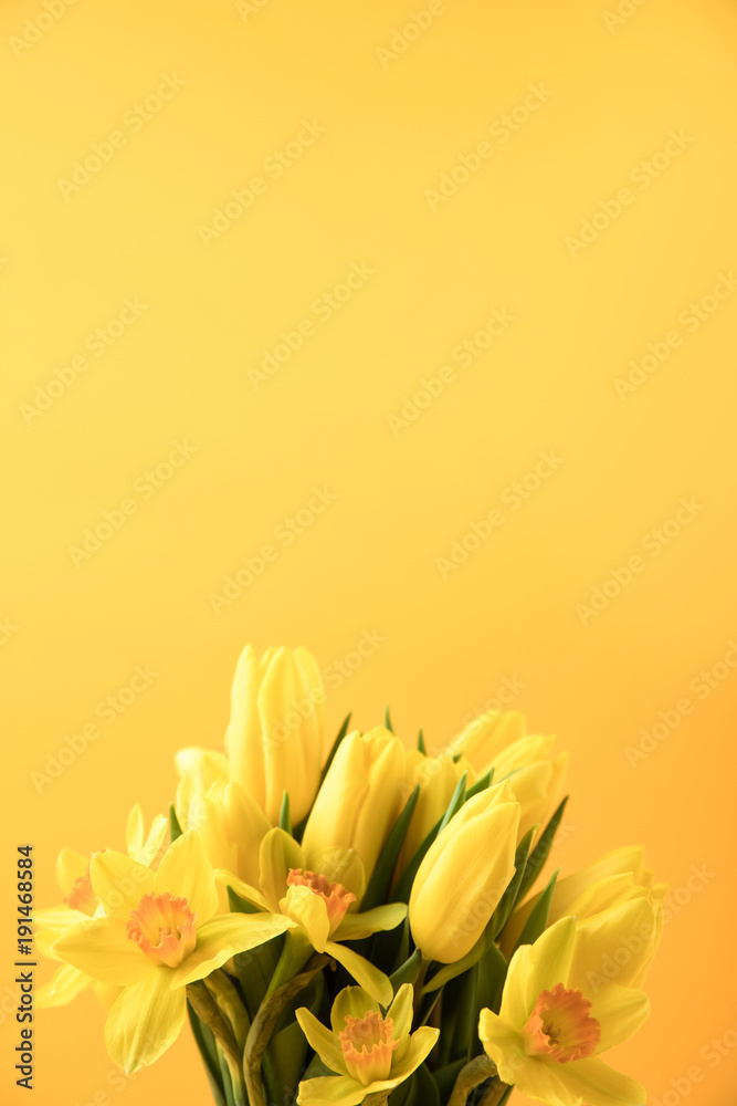 Sticker close-up view of beautiful yellow spring flowers isolated on yellow