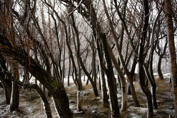 the man who is in the road that is snow