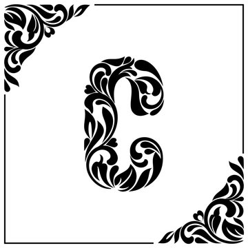 The letter C. Decorative Font with swirls and floral elements. Vintage style