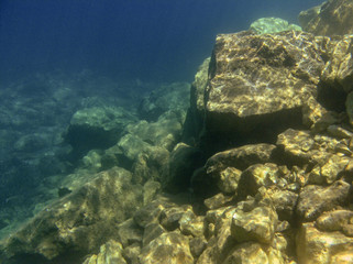 Naklejka na ściany i meble Underwater landcape in Hvar croatia