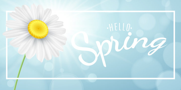 Spring concept. Chamomile in white frame banner on the background of the sun. Blue sky with abstract bokeh lights. Calligraphic text. Hello spring phrase. Vector illustration
