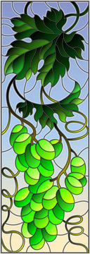 The illustration in stained glass style painting with a bunch of green grapes and leaves on sky background,vertical image