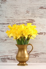 Narcissus - daffodil, a species of amaryliaceous plant species.