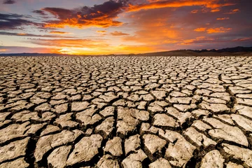  Desert landscape with cracked earth © Anton Petrus