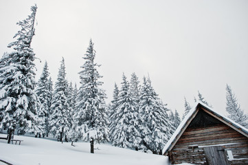 Wooden house at pine trees covered by snow on mountain Chomiak. Beautiful winter landscapes of Carpathian mountains, Ukraine. Frost nature.