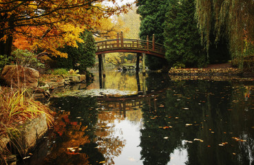 Beautiful autumn park in Woclaw, Poland