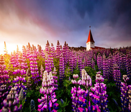 Great view of the church in evening light. Location Vik village, Iceland, Europe.