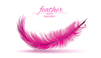 Light pink feather isolated on white background. Vector illustration © kiberstalker