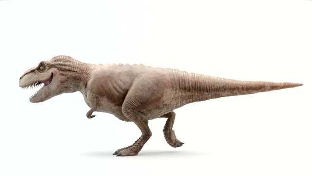 Tyrannosaurus Rex in motion of attack