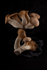 Fototapeta premium set of edible fresh mushrooms on black slate plate kitchen plate can be used as background