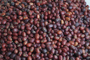 Close up red bean seed.