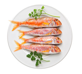 Red mullet