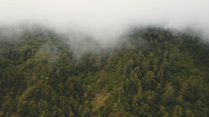 Mountain forest in the fog and clouds. Aerial view of over tropical rainforest mountains with white fog, clouds Bali, Indonesia. Low lying cloud over evergreen forests.