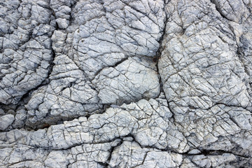 Texture of natural stone.  Sea rock with a lot of cracks.