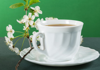  White cup of tea with flowers of a cherry summer