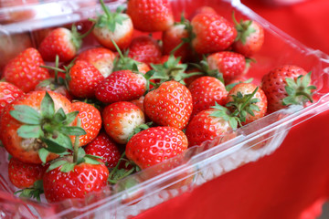 strawberry in the box