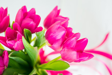 Obraz premium Bouquet of tulips flowers