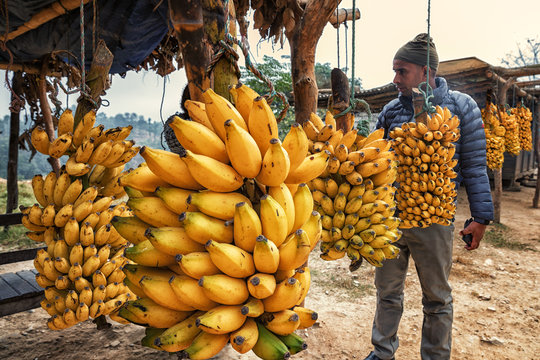 Bananas to Go, Prithvi Highway, Nepal