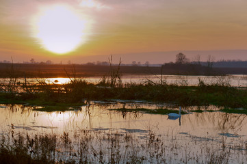 Sunset over a pond. Reflection of sunlight in the water. Red sky in the sunset light.