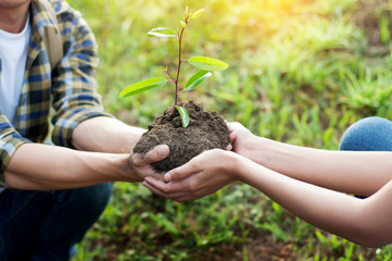 couple planting and watering a tree together on a summer day in park, volunteering, charity people and ecology Environment and ecology concept.