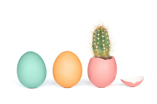 Desert style easter eggs with cactus