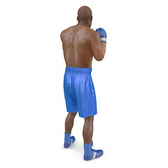 African American Male boxer on white. Rear view. 3D illustration