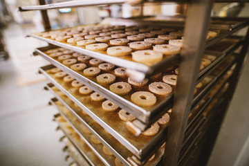 Cookie factory, food industry. Fabrication. Cookie production.