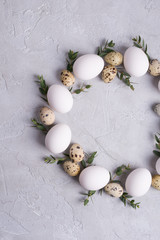Fototapeta na wymiar Circle border for easter card or invitation. Easter wreath with easter quail, chicken eggs and leaf sprigs of eucalyptus. On a gray concrete background with place for text.