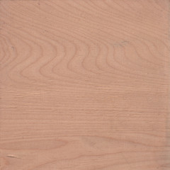 Birke Sägerauh unbehandelt mit Gebrauchsspuren