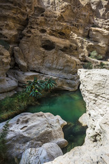 Reisen in Oman
