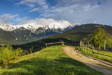 Spring alpine landscape with green fields and high snowy mountains,Bran,Transylvania