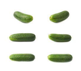 Fresh green cucumber isolated