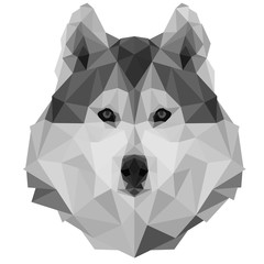 Polygonal Style Illustration Wolf. Low poly illustration Husky.