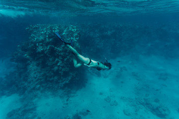 Underwater beaty woman in bikini snorkeling in a clear tropical water at coral reef