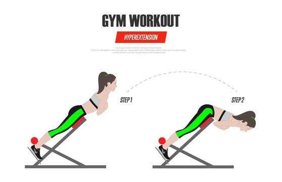 Sport exercises. Gym workout. Hyperextension on Roman chair. Illustration of an active lifestyle Vector Stock Vector Adobe Stock