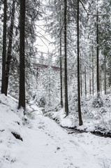 Fototapeta na wymiar bridge with snow in the winter