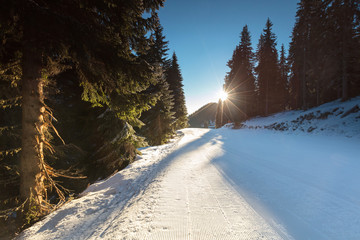 Ski way in the forest at sunrise